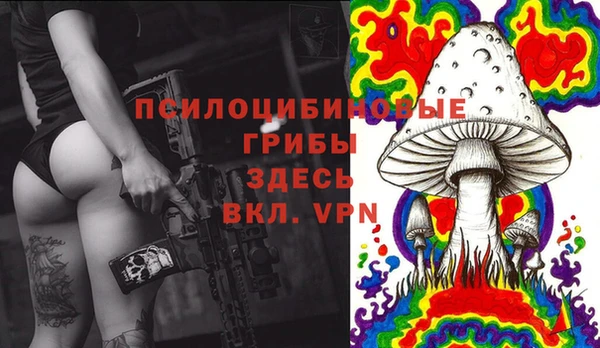тгк Баксан