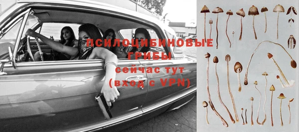 тгк Баксан