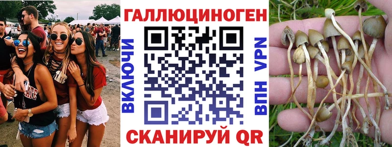 ссылка на мегу ССЫЛКА  Белинский  Псилоцибиновые грибы мухоморы 