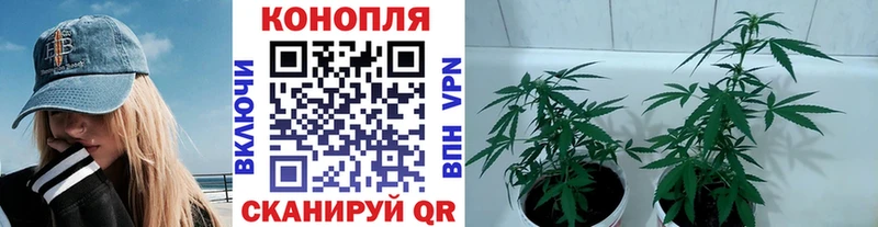 Каннабис AK-47  Белинский 